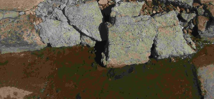 Concrete paving broken up and lifted by water from a burst pipe, with wet soil showing between the slabs